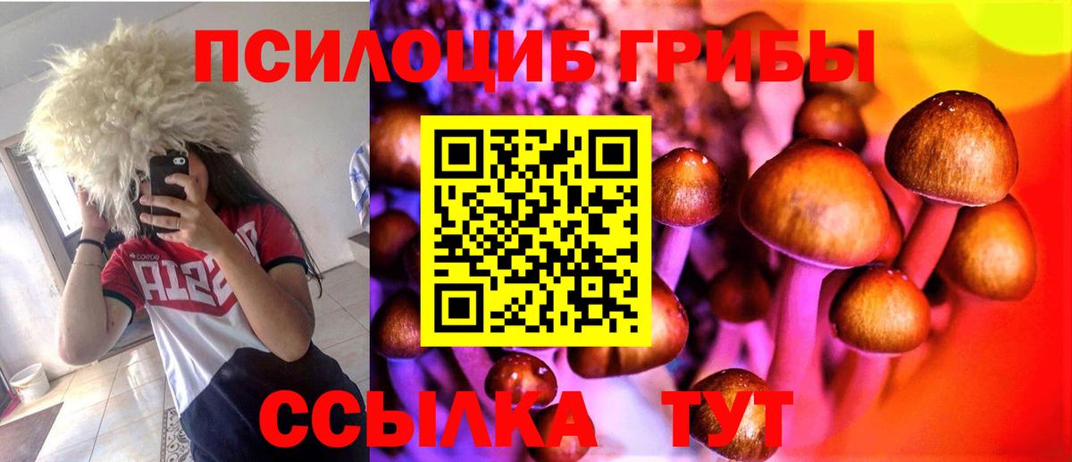 Уварово  Псилоцибиновые грибы Psilocybine cubensis  Вход с VPN 